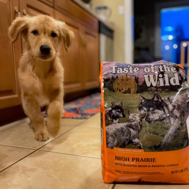 Taste Of Wild High prairie Puppy Recipe with Roasted Bison & Roasted Venison