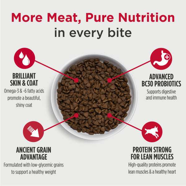 Nulo Frontrunner Adult Dog with Beef, Barley & Lamb